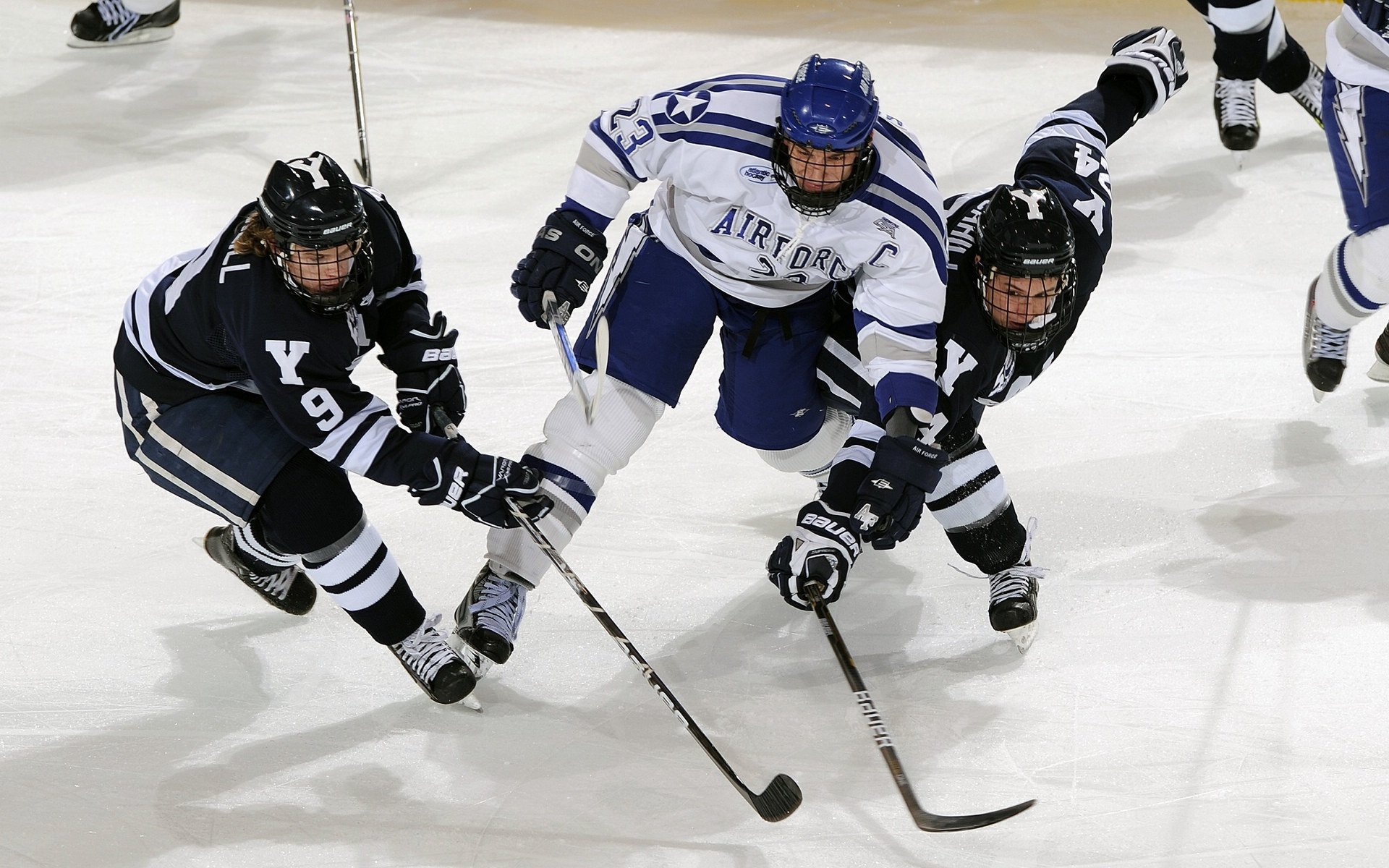 勇士主场爆冷负热火，福克斯虚拟加盟引发球迷脑洞大战